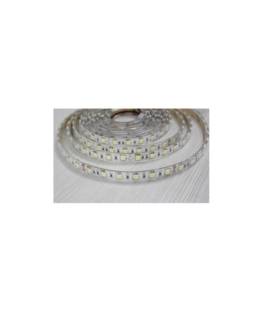 LED FLEXIBLE 41987 BL FRIO IP65 600Lm 10W SMD 7X3M